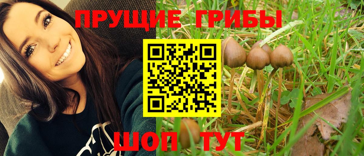 Псилоцибиновые грибы мухоморы Красноармейск