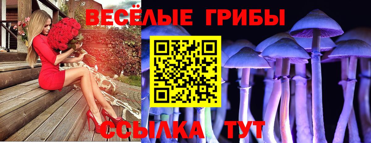 Красноармейск  Псилоцибиновые грибы мицелий  Вход с VPN 